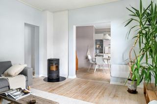 Poêle à granulés : guide complet des pellets et granulés bois