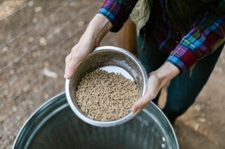 Granulés de bois : prix, qualité ENplus et stockage