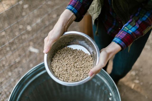 Granulés de bois : comment bien choisir et stocker ses pellets Granulés de bois : comment bien choisir et stocker ses pellets